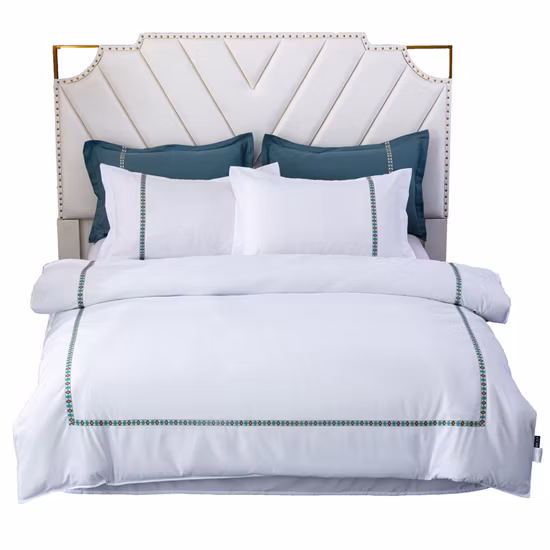 2023 Luxus-Hausbett Raschel China Top Deckenhersteller Bewölkter weicher Haushalt Bedruckter schwerer dicker koreanischer Samt-geprägter Fleece-Überwurf Decke Steppdecke